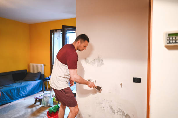 Best Local Mold Removal Service  in Dalton Gardens, ID
